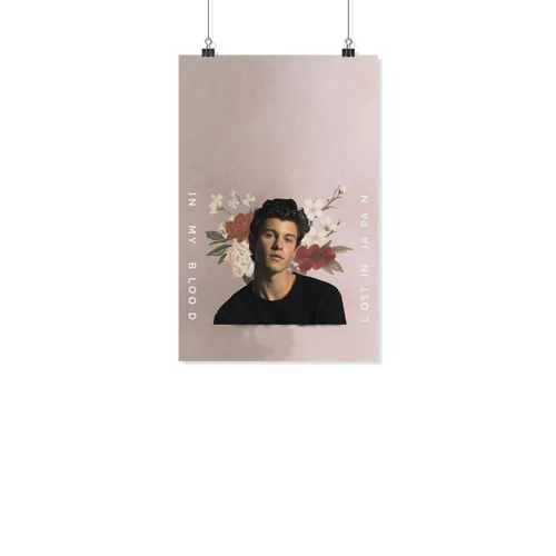 Shawn Mendes 11x17 TD