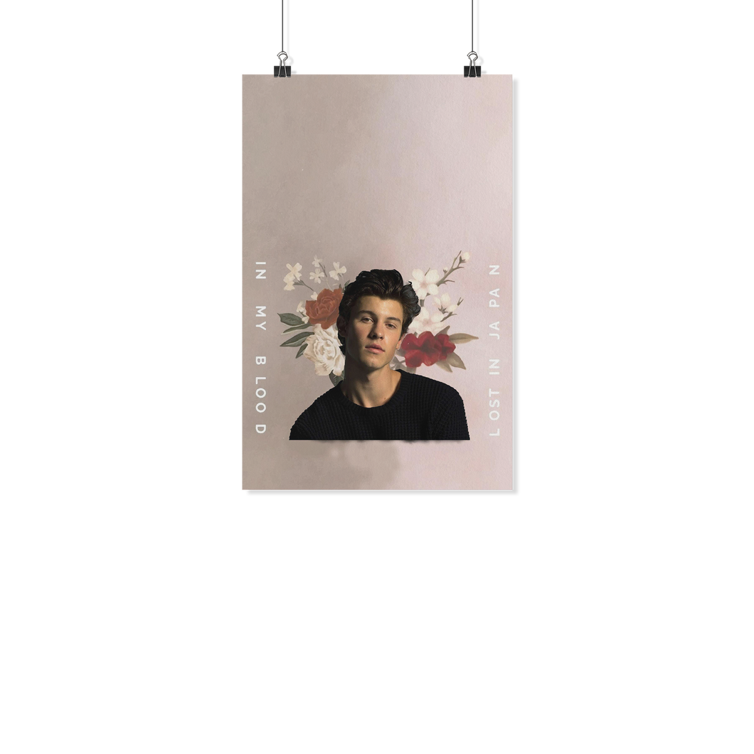 Shawn Mendes 11x17 TD