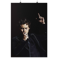 harry style - linh 15