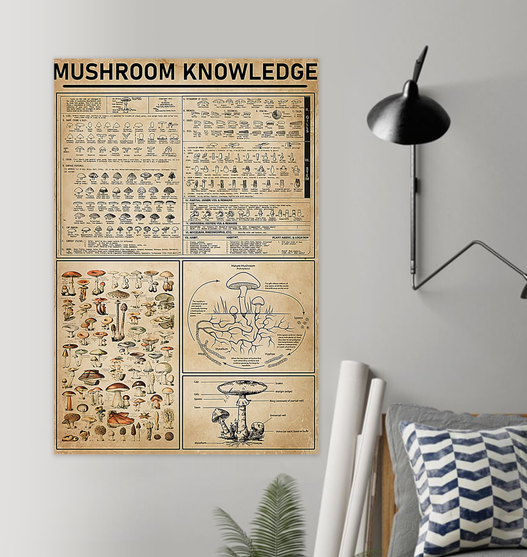 amazing kha mushroom sua size 16 x 24