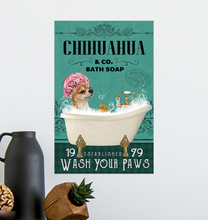 2-pt020221-Aurora-Lyn