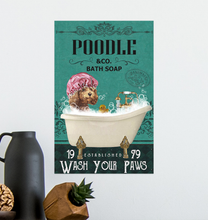 PT1408-11*17-POODLE