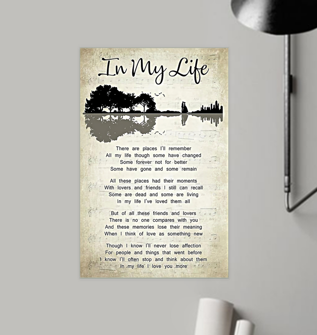 amazing linh 12i1.3 11x17