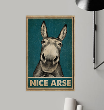 amazing linh 16q donkey 11x17
