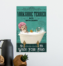 TG-GIANG-Yorkshire Terrier-1408-11*17