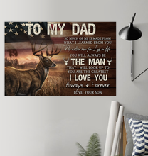 Amazing_Ha_TMD(Deer)