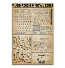 amazing kha mushroom sua size 16 x 24