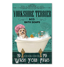 TG-GIANG-Yorkshire Terrier-1408-11*17