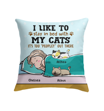 hapyc lisa cat pillow Chelsea Stevens