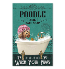 PT1408-11*17-POODLE