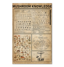 amazing kha mushroom 11 x 17