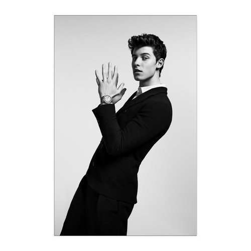 shawn mendes - linh