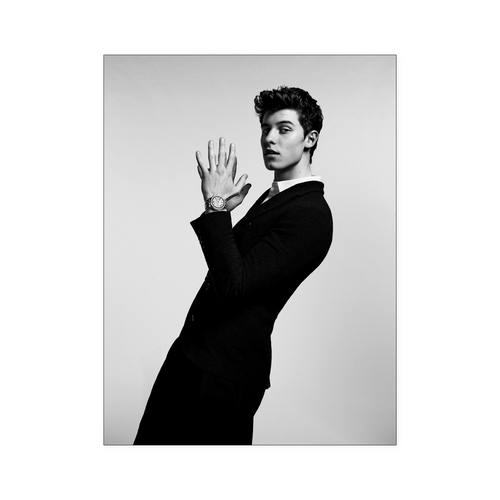 Shawn Mendes dung 18x24 LMT