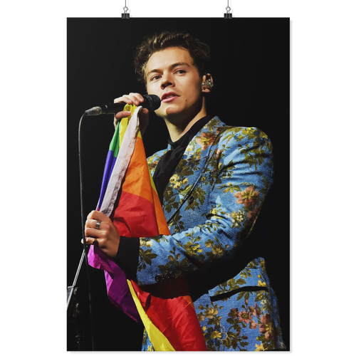 harry style - linh13