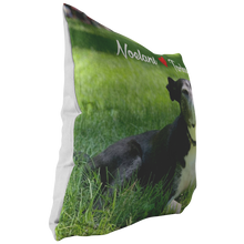 TG-DUONG-PL3-1611-NOEL AND TARKA