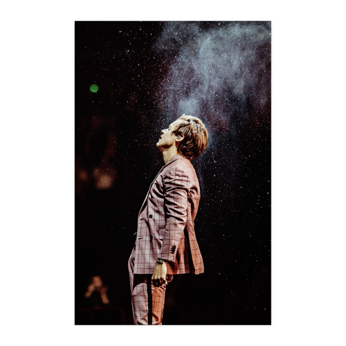 Harry Styles 11x17 NA