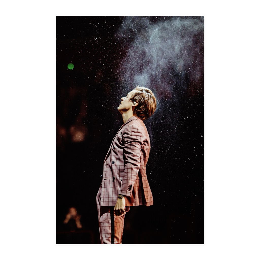 Harry Styles 11x17 NA