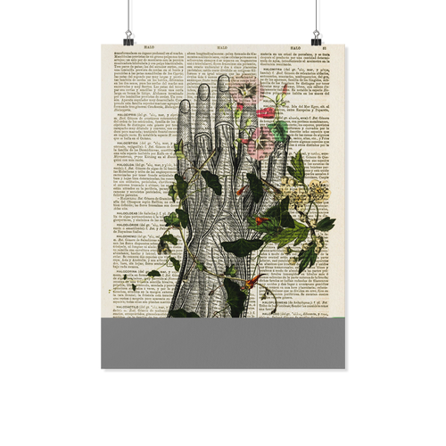 Hand Floral Antomy NA 18x24