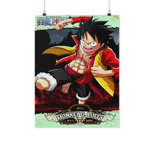 One Piece 18x24