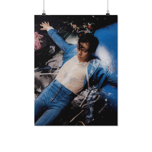 Harry Styles poster kanh2