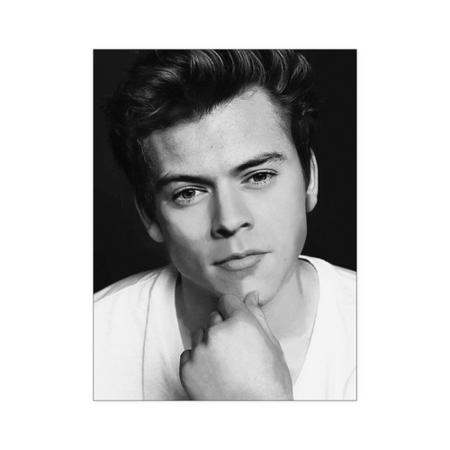 HARRY STYLES BnW FACE 18X24